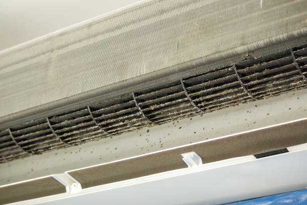 Best Commercial Air Duct Cleaning  in Decatur, TN